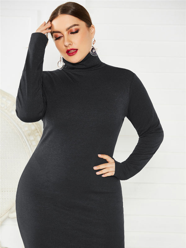 Cozy Turtleneck Knit Midi Dress