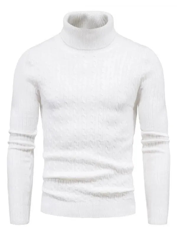 Men’s Textured Slim Turtleneck Pullover Sweater