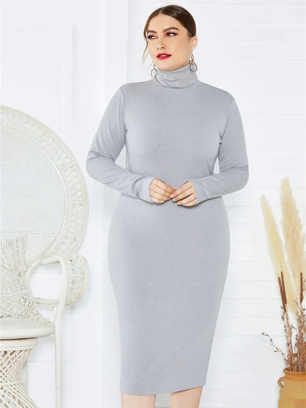 Cozy Turtleneck Knit Midi Dress