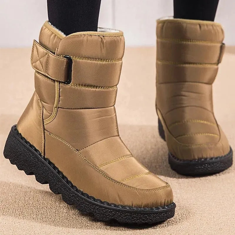 Collection image