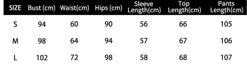 Women Pleated Two-Piece Pants Set - Pleated Pants Set - LeStyleParfait